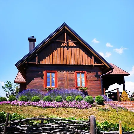 Kuca Za Odmor Stara Hiza Villa Selnica Exterior photo